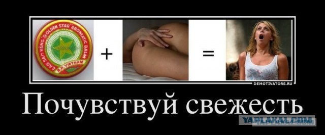 Полезные свойства бальзама "Звёздочка"