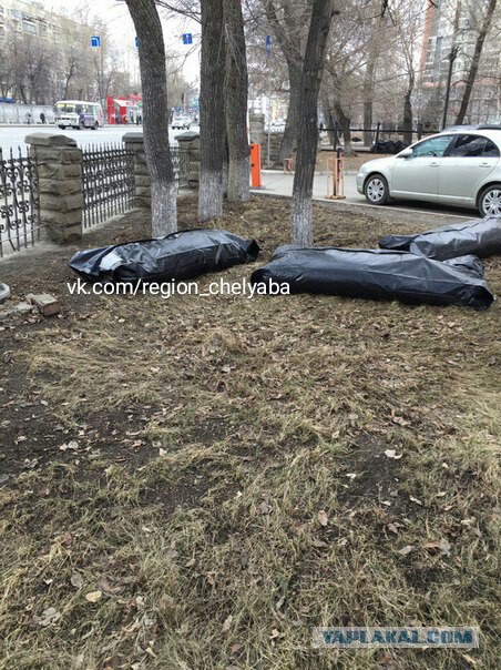 В Челябинске провели субботник на территории городской больницы, а мусор сложили в мешки для трупов