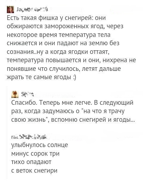 Смешные комментарии из социальных сетей 08.06.2018