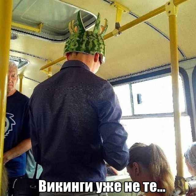 Лента прикольных картинок