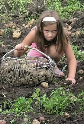 Весёлые исторические фотографии