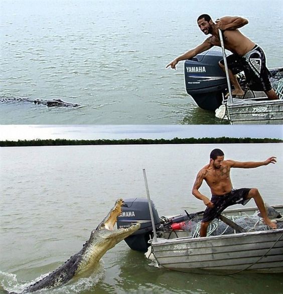 Не самый лучший день