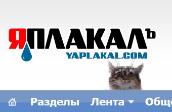 Начало - Третий уровень (Котовторник)