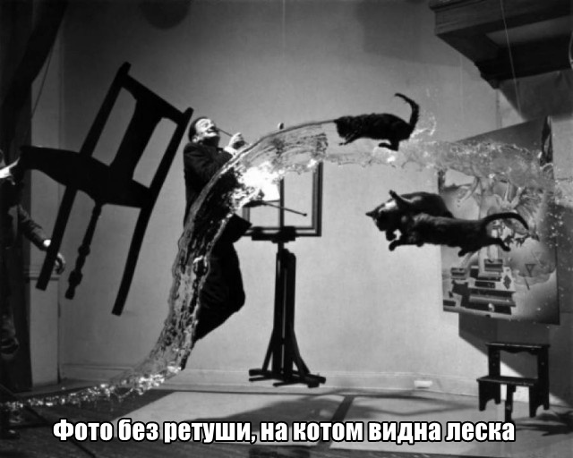 Картинки понедельника