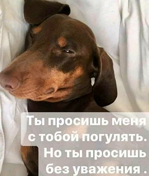 Хорошо когда есть кто может посидеть с ребенком