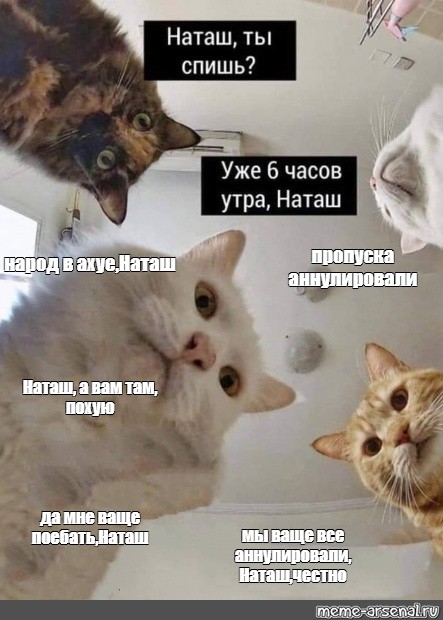 Ну теперь все встало на свои места, для чего ввели пропуска