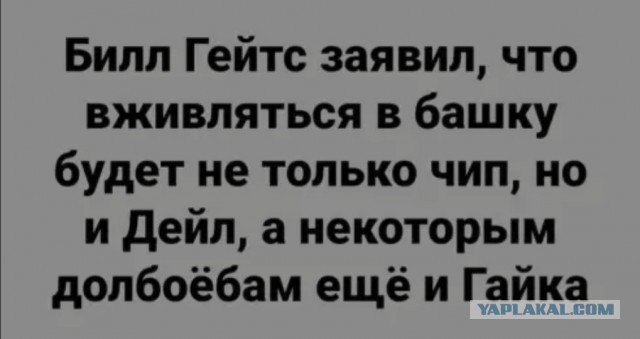 Чипизация