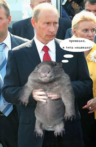 Фотожаба: Путин и зверь
