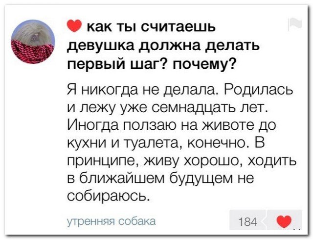 Фотки и картинки: юморные и красивые, забавные и милые 30.09.20