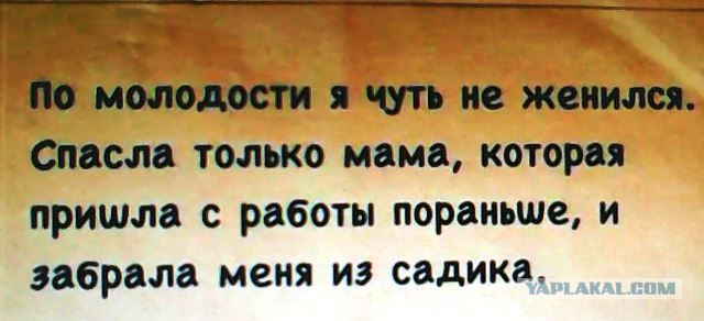 Фотки и картинки: юморные и красивые, забавные и милые 19.10.20