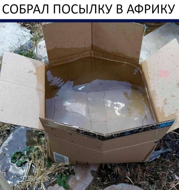 Картинки и мемы для настроения 30.01.21