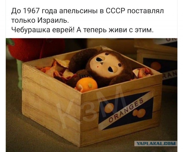 Зебрёныш просто шёл вперёд и думал о своём