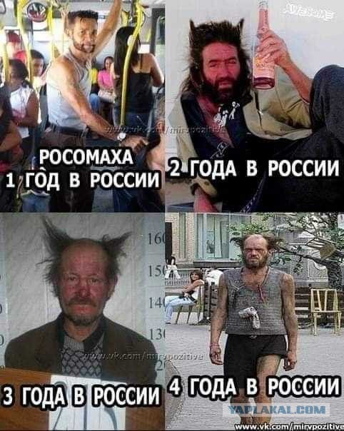 Доза юмора на выходные