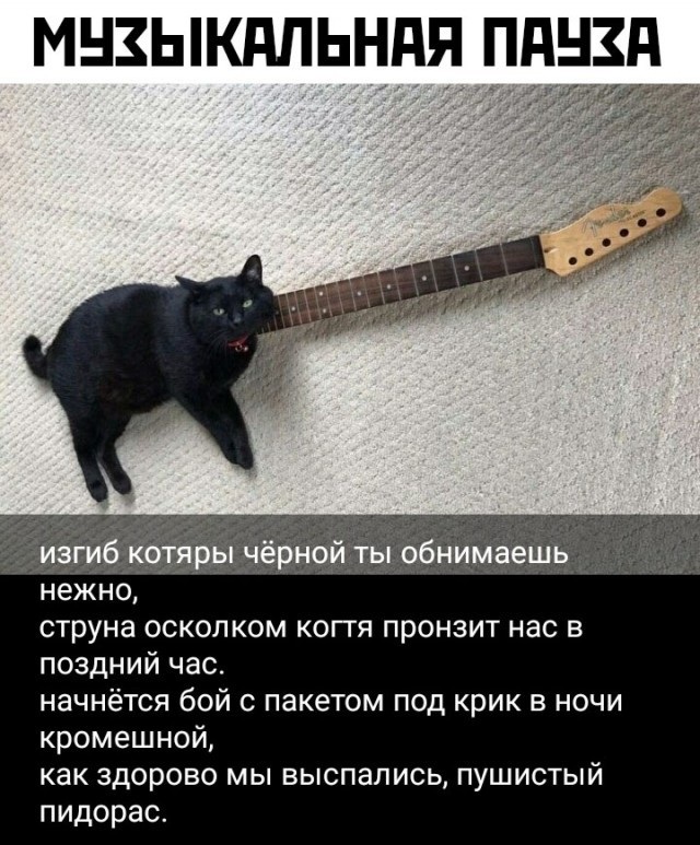 Так себе картинки 08.11.21