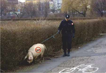 Тем временем правда из лагеря беженцев