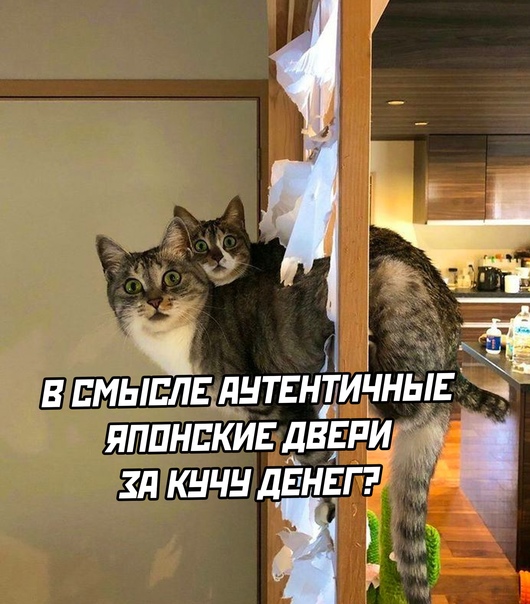 Так себе картинки 12.11.21