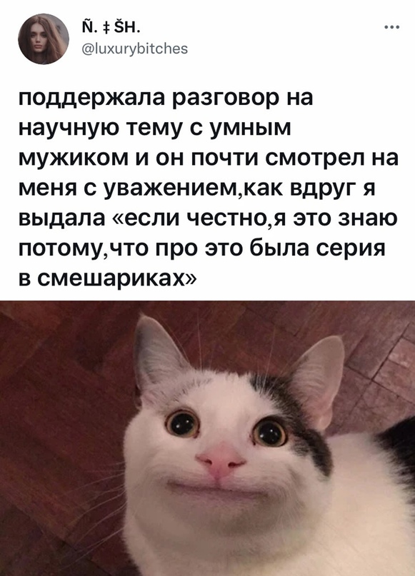 Картинки и мемы для настроения 16.11.2021