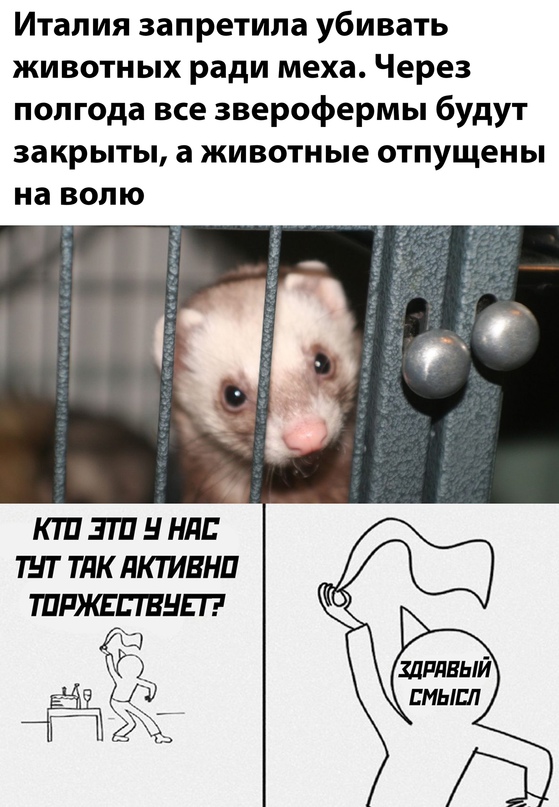 Картинки и мемы для настроения
