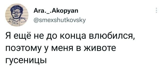 Человек собаке друг и другие картинки под настроение 13.01.2022
