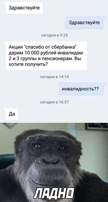 Картинки и мемы для настроения - 15