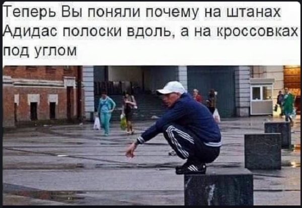 16604960.jpg