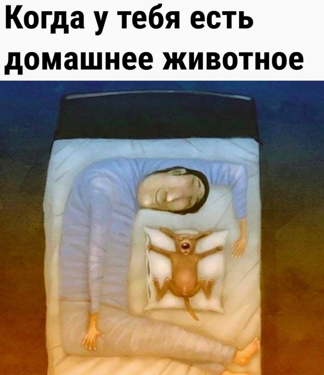 Картинки и мемы для настроения - 14
