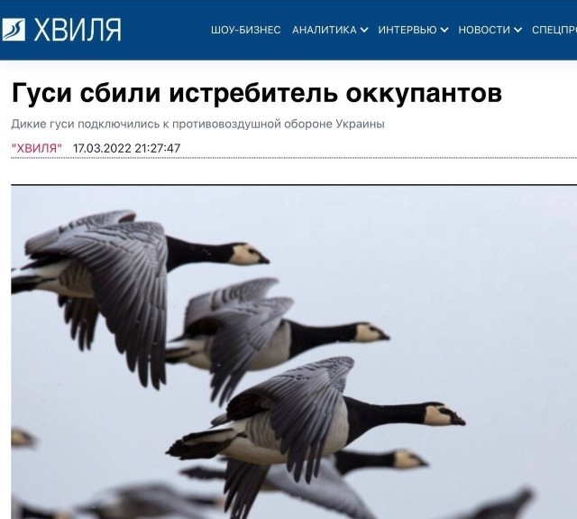 Сдавайтесь, пи@&ры!