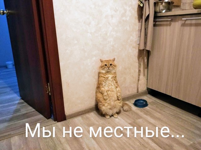 Картинки и мемы, всем хороших выходных