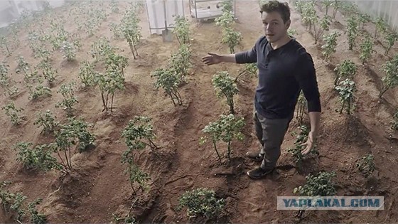 На Марсе нашли «сыр-косичку»