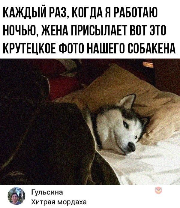 Скриншоты и комментарии из социальных сетей 24.09.22