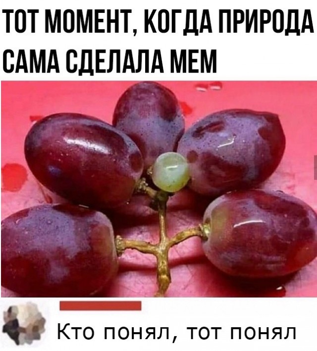 Немного картинок для настроения - 135