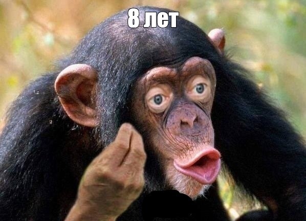 Как мы были добровольцами