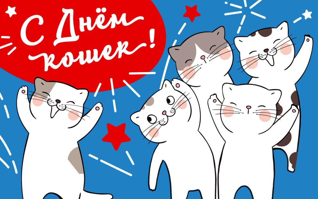 Сегодня день кошек