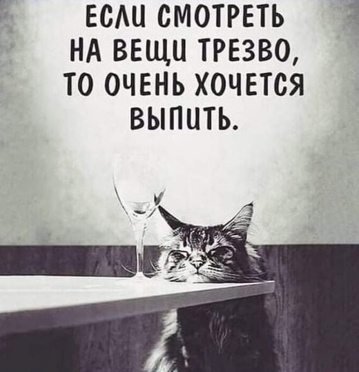 Картинки и мемы, всем хороших выходных