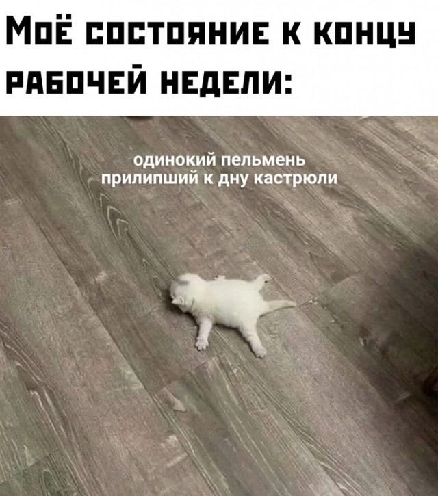 Картинки и мемы для настроения - 187