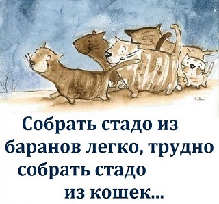 Так себе картинки 13.07.23