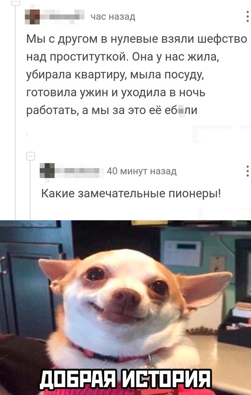 Весёлый полтишок 15.09.23