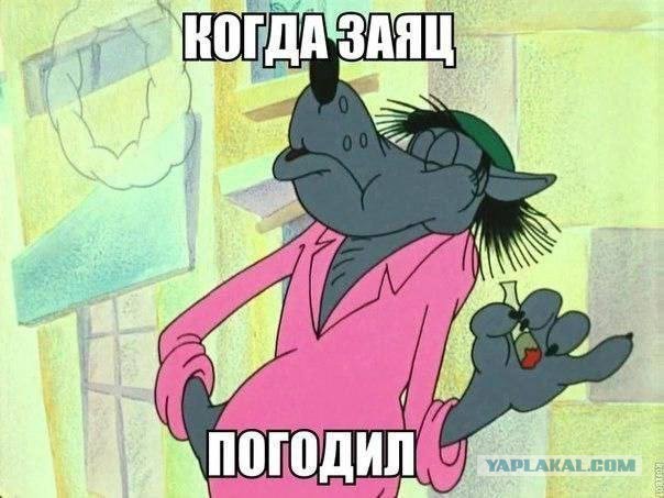 Досье на Волка: кто такой и на какие "шиши" живет герой "Ну, погоди"