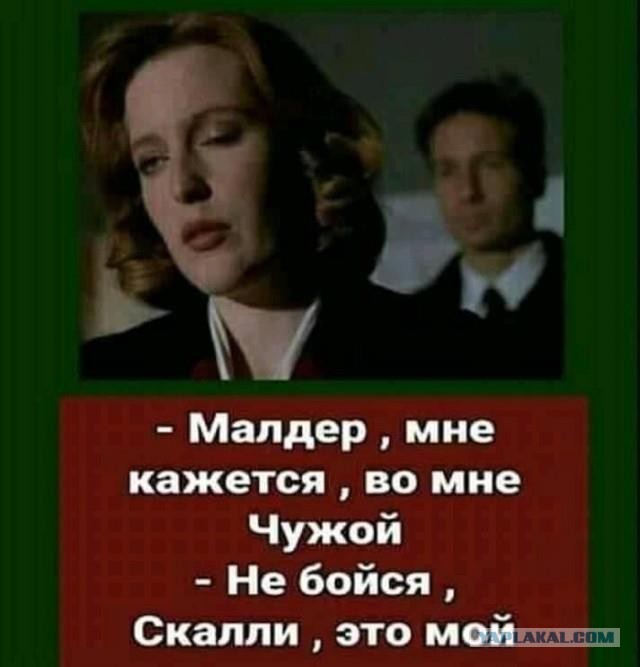 Ужасная новость от жены