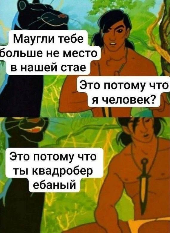 Квадроберы. Инсайд