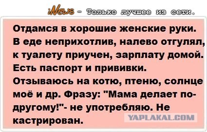 Путин развелся