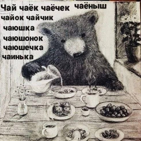 Так себе картинки 20.02.25