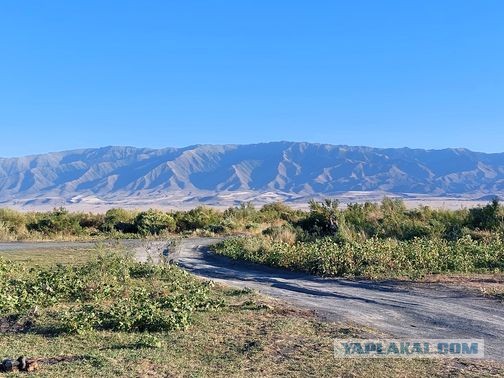 Алаколь. Всё включено отдыхать хорошо, а дикарями лучше