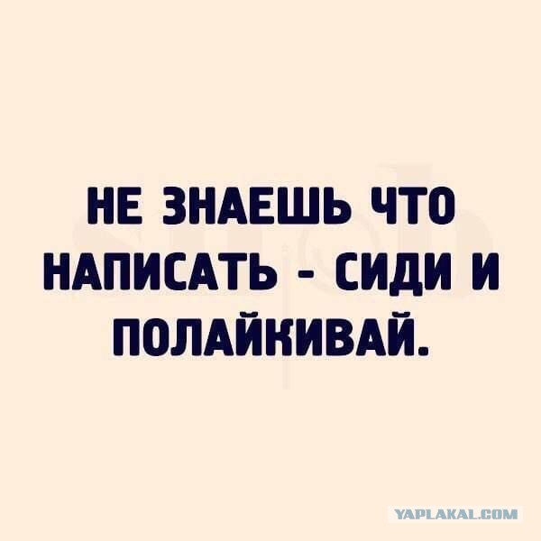 Картинки для деградации 79 (разной степени свежести)