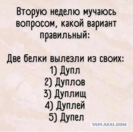 Предновогодние бояны