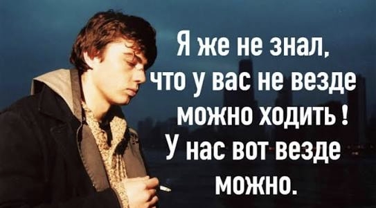 Двух россиянок арестовали из-за того, что они случайно заехали на военную базу в США, когда искали ближайший Макдоналдс
