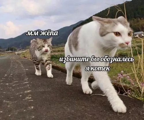 Картиночки, баянчики 11 марта