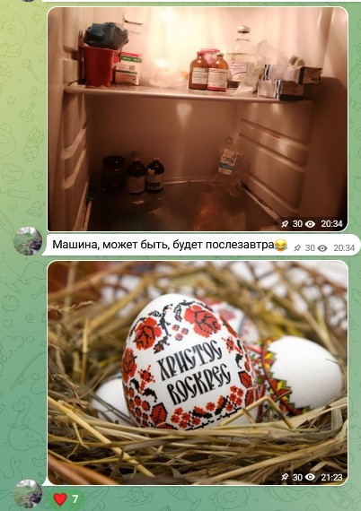 Жизнь домашнего приюта для котеек 576