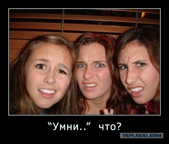 Музей занимательной науки «Умникум»