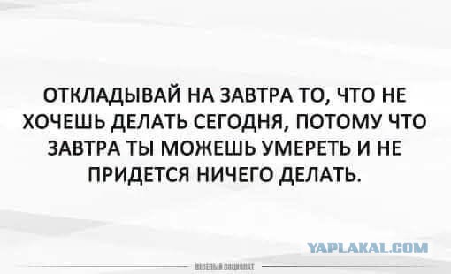 Картинки для деградации 242 (разной степени свежести)